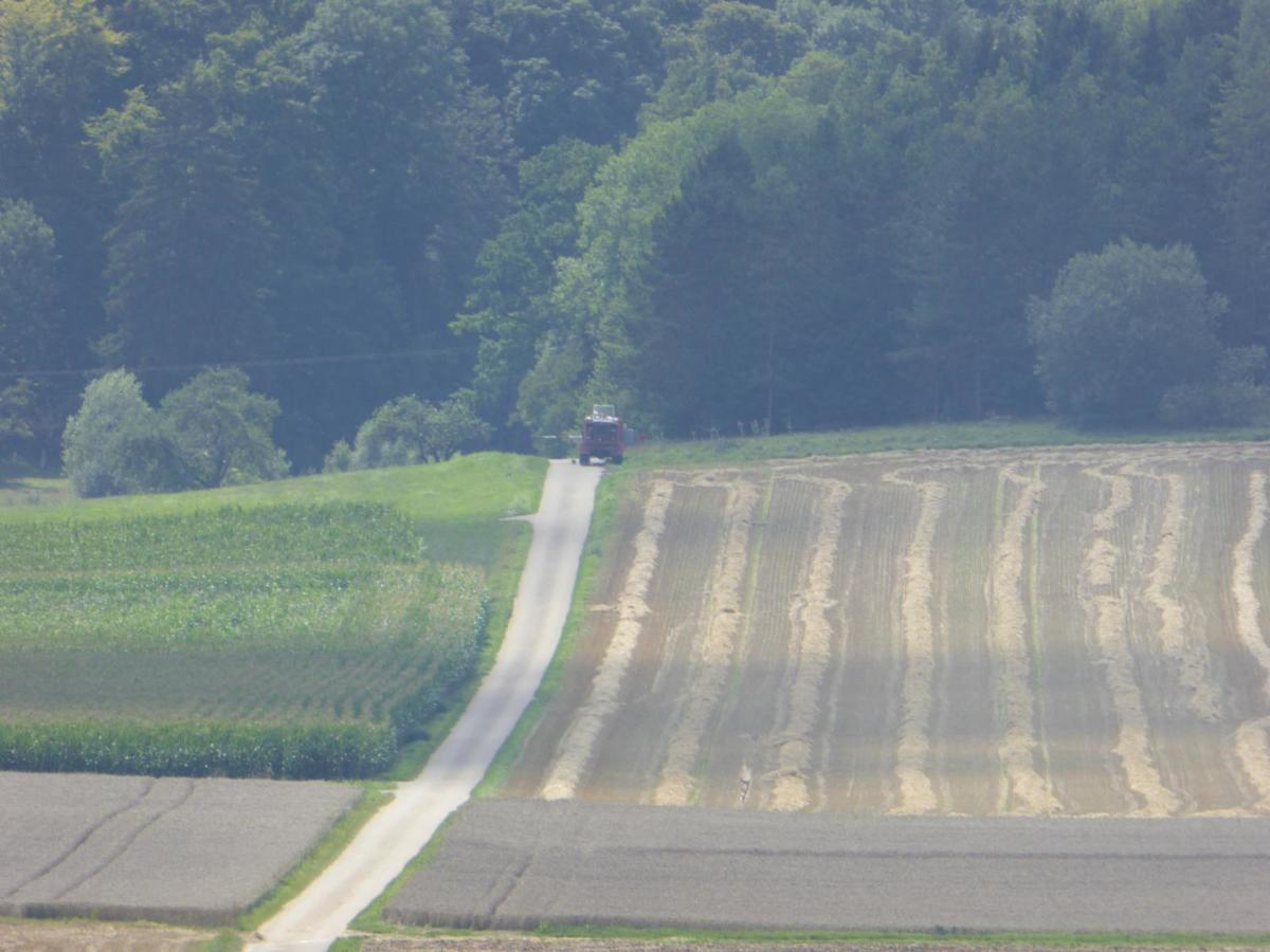 1f49a6e6ff2fe16a6eeeddd6a4102d2a