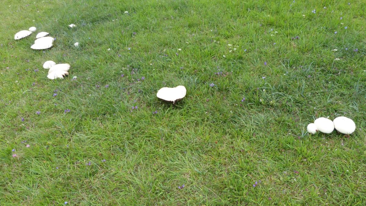 55fb86804d081b675437b0b5d48aa61f