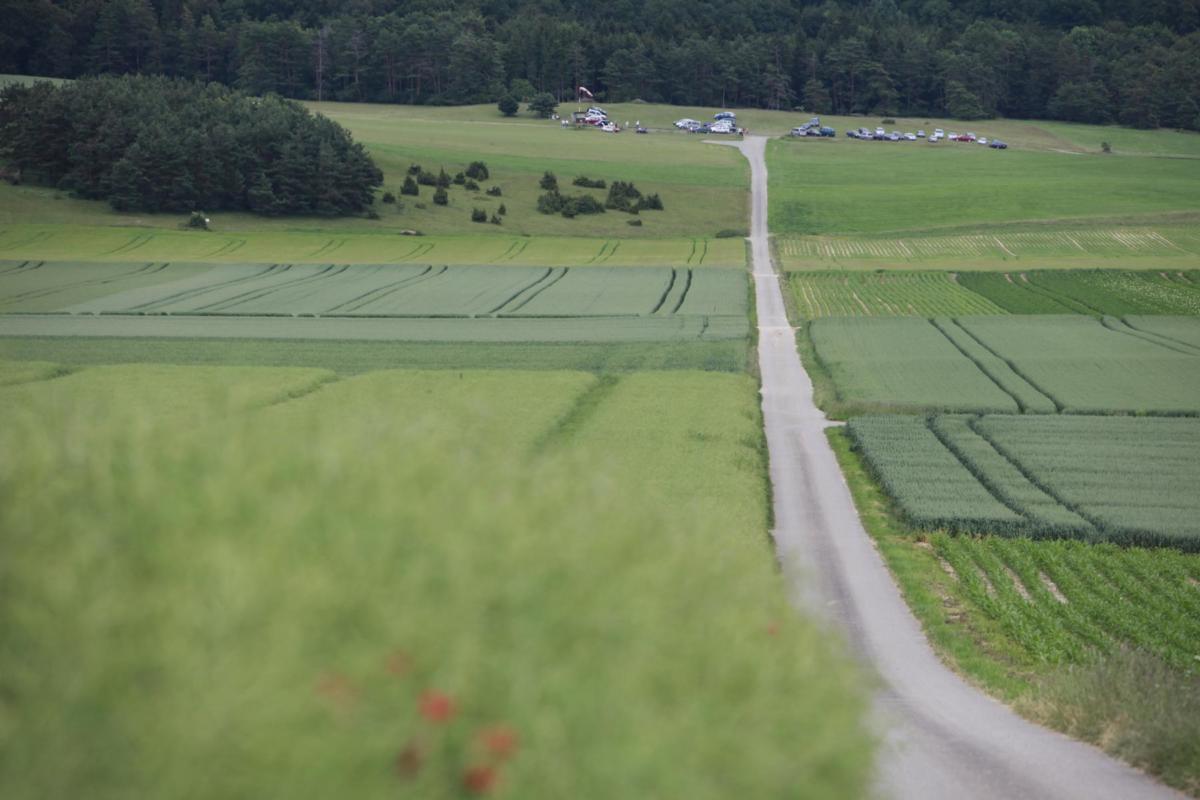 5e5a8a63299146c2a9441685d5038b31