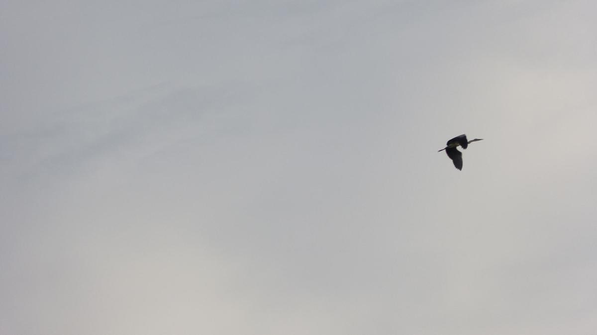 79cf335075514dbcb00e93696db8b774