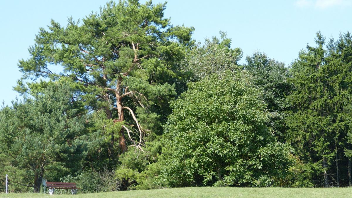 7d2456ab21fa270d4a0a8be1026a31d2