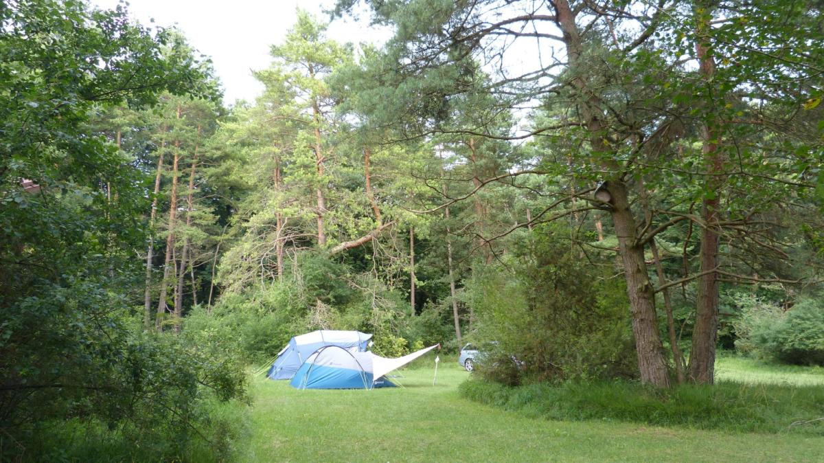 a190fcb8a64aaaccdd5f7f2a378fe7ad