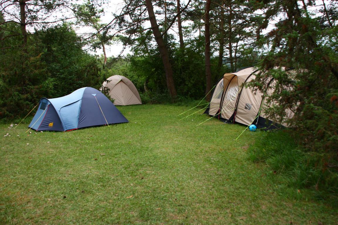 a74bf81e2b9e79d154f3bfc3341e0153