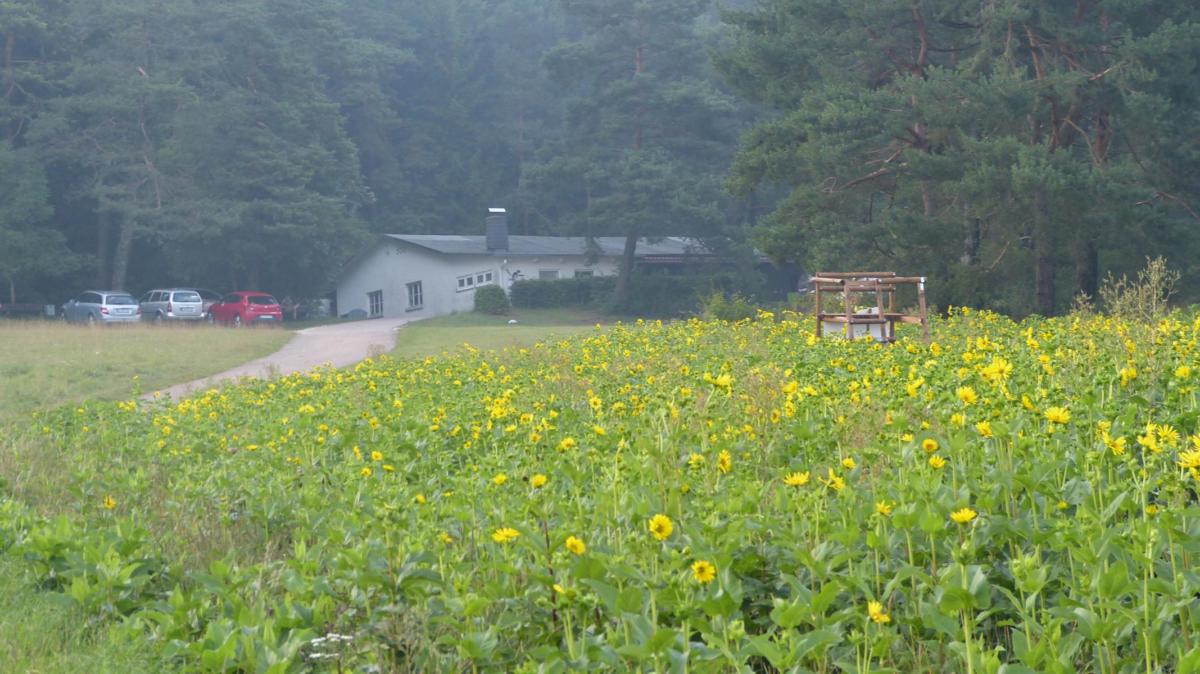 b46b1848925d05ae7468cc0feca15ba2