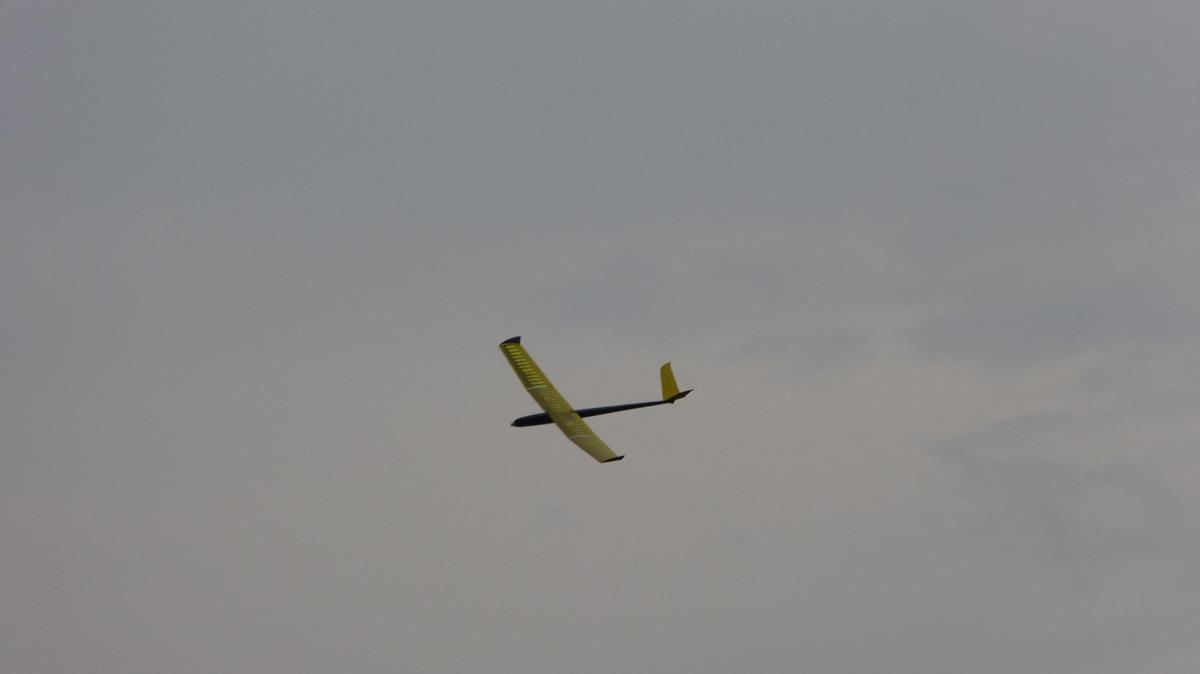 d979f8d28dfd5b861e35dc14a8558ca5