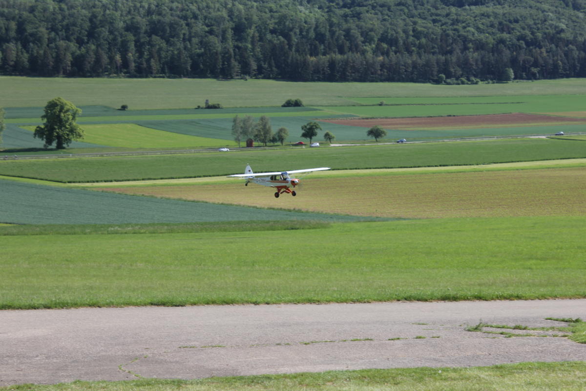 f95a79cc6e13a90780f27a420ff5109d